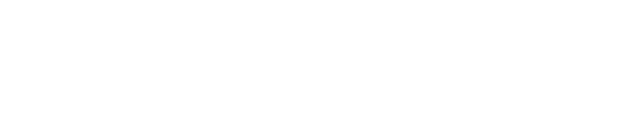 LOGO skytrax666